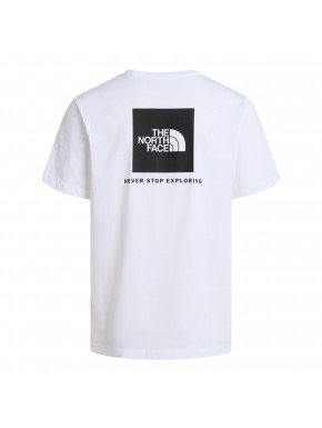 THE NORTH FACE EVOLUTION BOX TEE