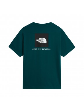 THE NORTH FACE EVOLUTION BOX TEE