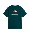 THE NORTH FACE EVOLUTION BOX TEE